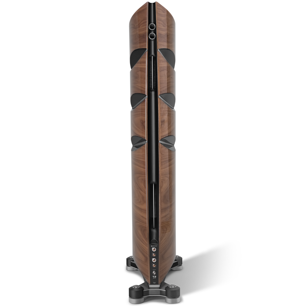 T3