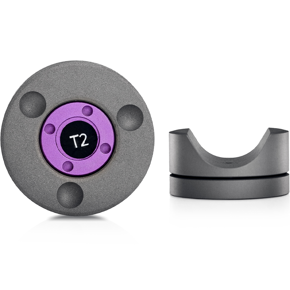 T2