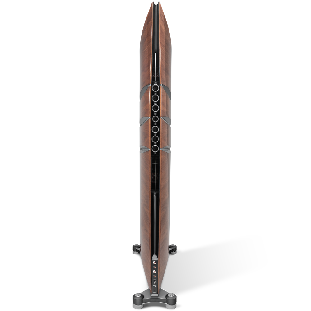 T5