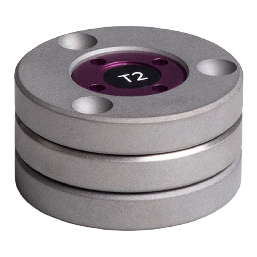 T2