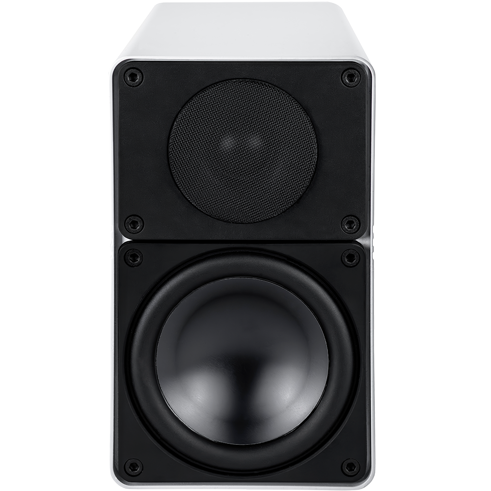 Elegant BS 305