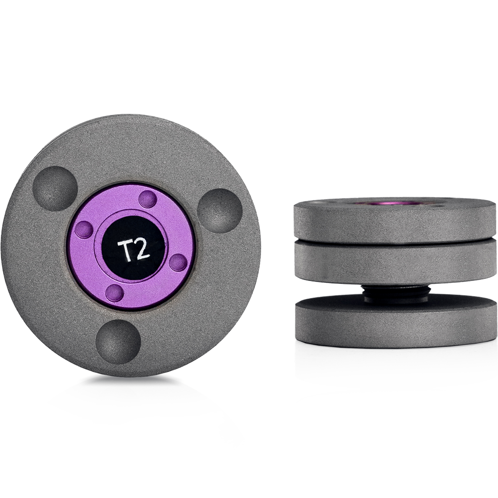 T2