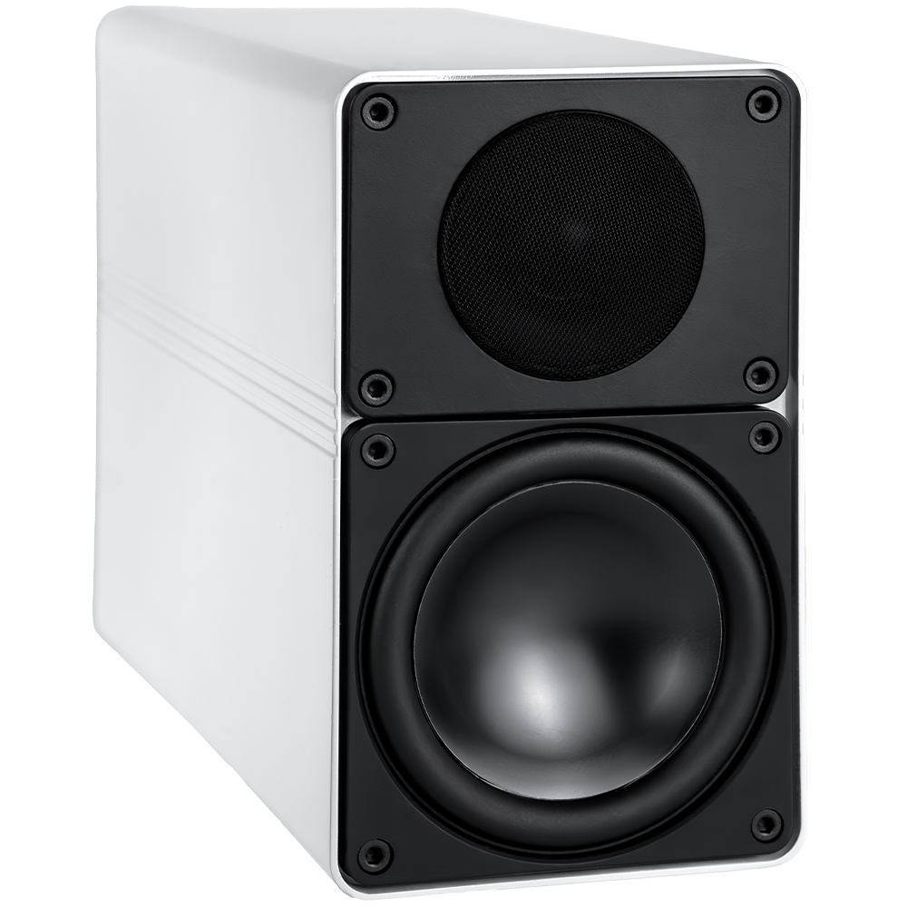 Elegant BS 305