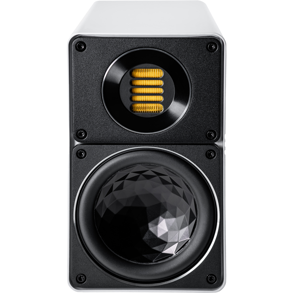 Elegant BS 312.2