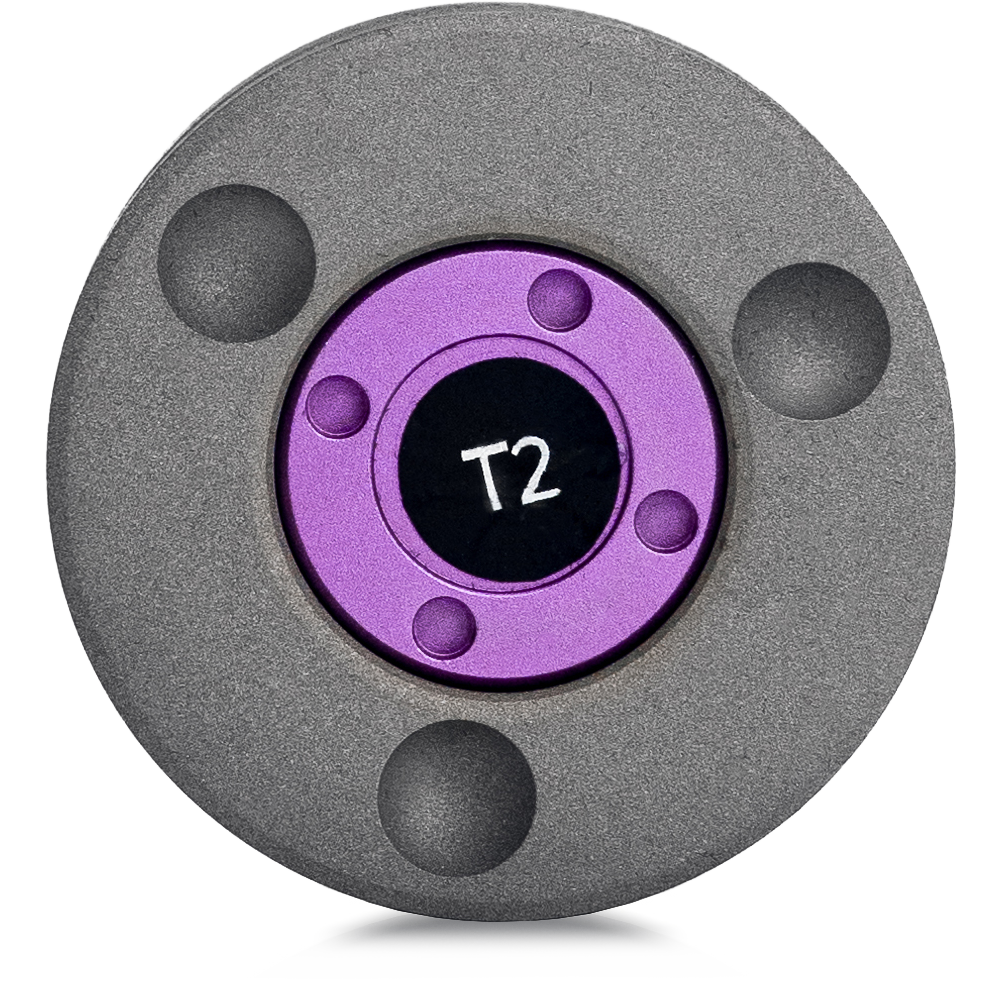 T2